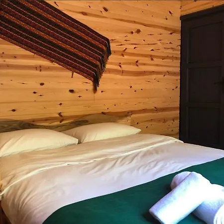 Hotel Viking