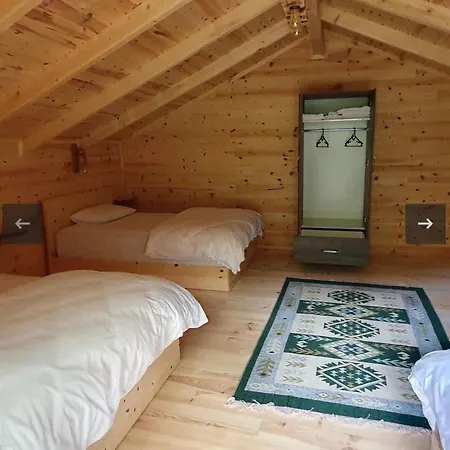 Viking Hotel Rize